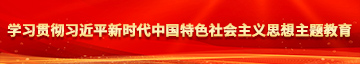 美女逼逼啊啊啊学习贯彻习近平新时代中国特色社会主义思想主题教育