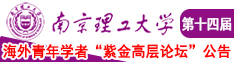 喜欢被C的视频南京理工大学第十四届海外青年学者紫金论坛诚邀海内外英才！